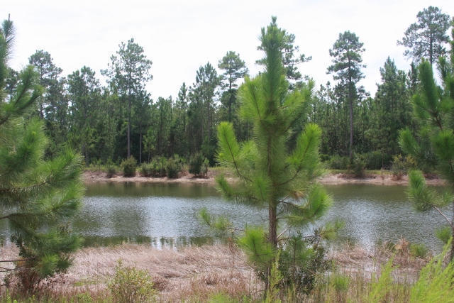 LOT 13C GULF PINES CT, Freeport, FL 32439