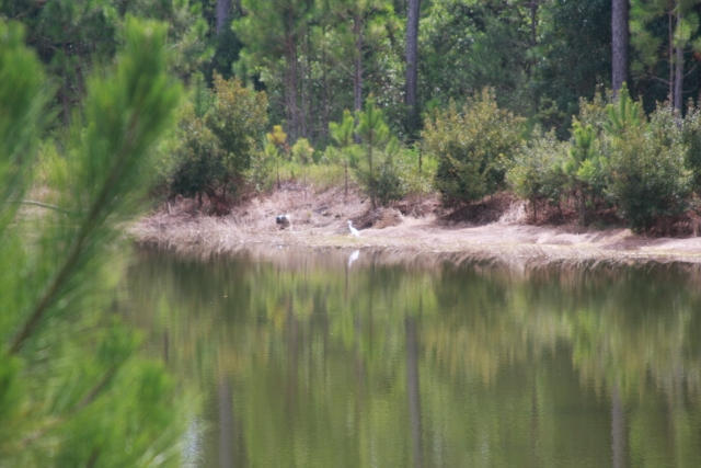 LOT 13C GULF PINES CT, Freeport, FL 32439