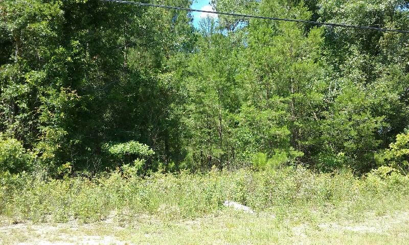 TBA W Hwy 20, Freeport, FL 32439