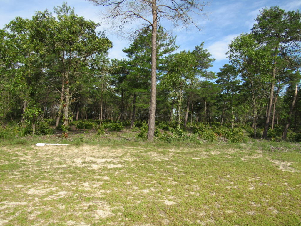 LOT15A Coastal Breeze Drive, Freeport, FL 32439