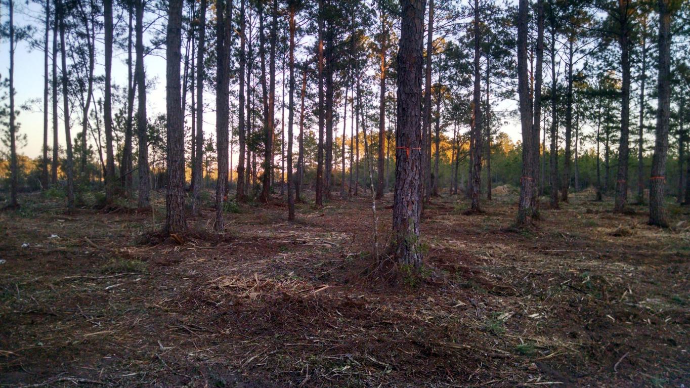TBD JONATHAN, Freeport, FL 32439