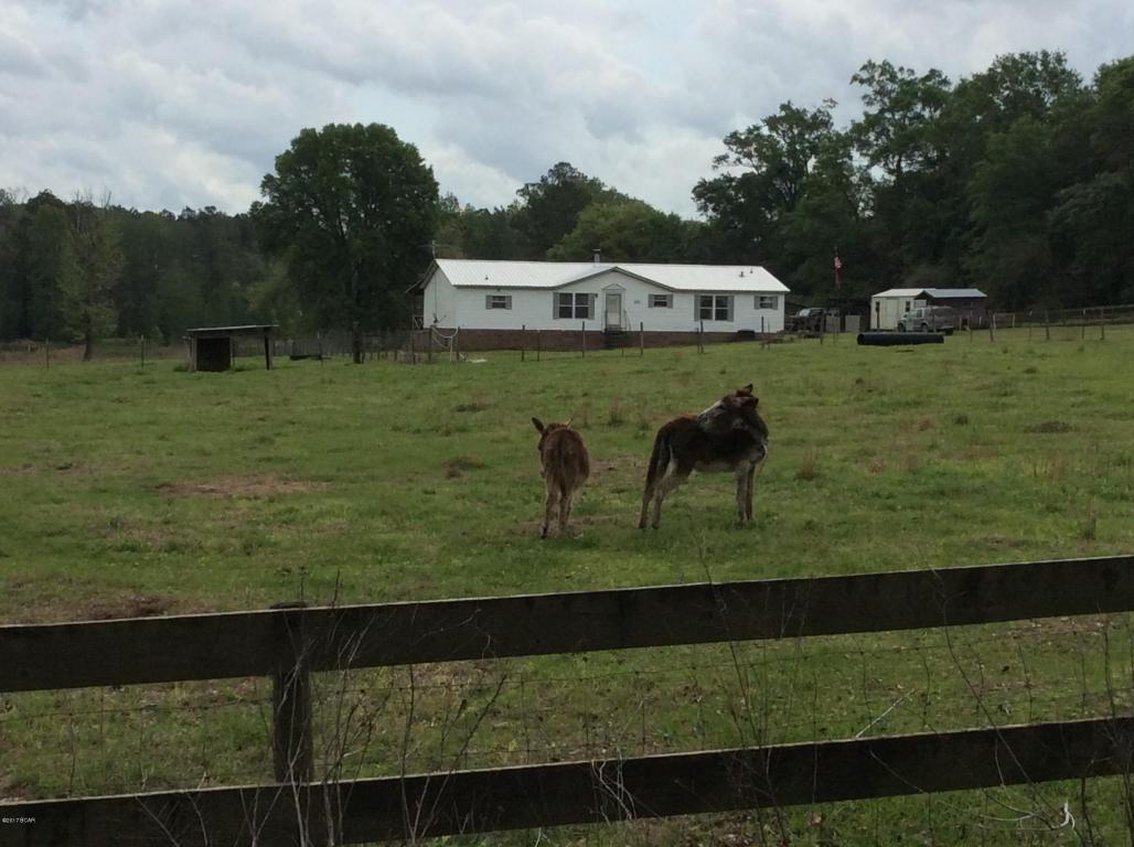 4802 LAVISTA Road, Graceville, FL 32440