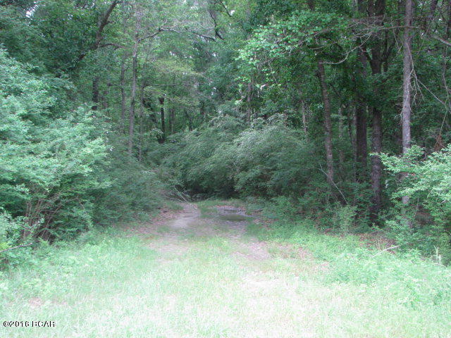 0000 COOLEY Road, Graceville, FL 32440