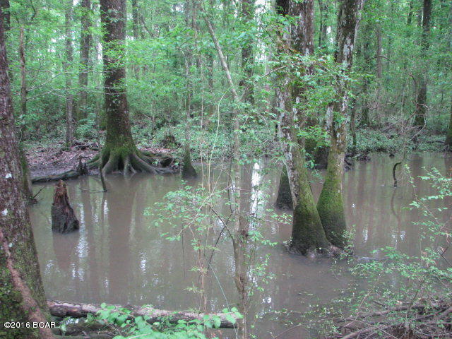 0000 COOLEY Road, Graceville, FL 32440