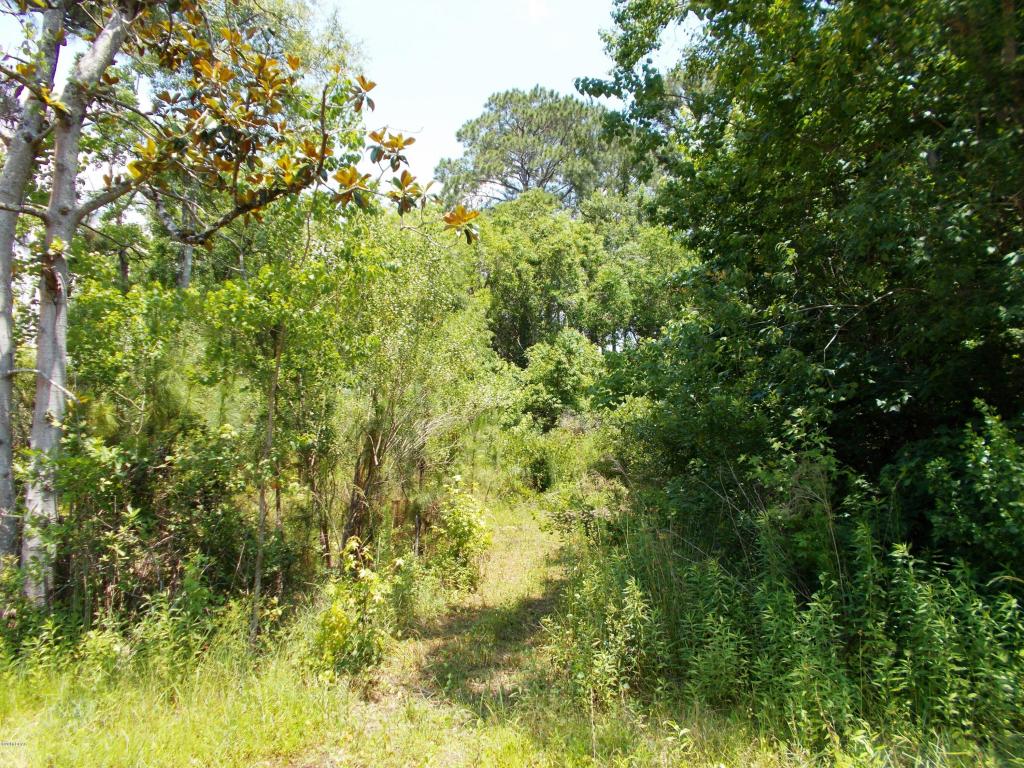 00 LOBLOLLY Lane, Lynn Haven, FL 32444