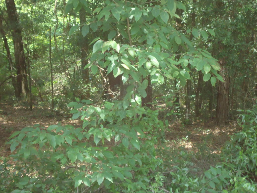00 APPALACHEE Trail, Marianna, FL 32446
