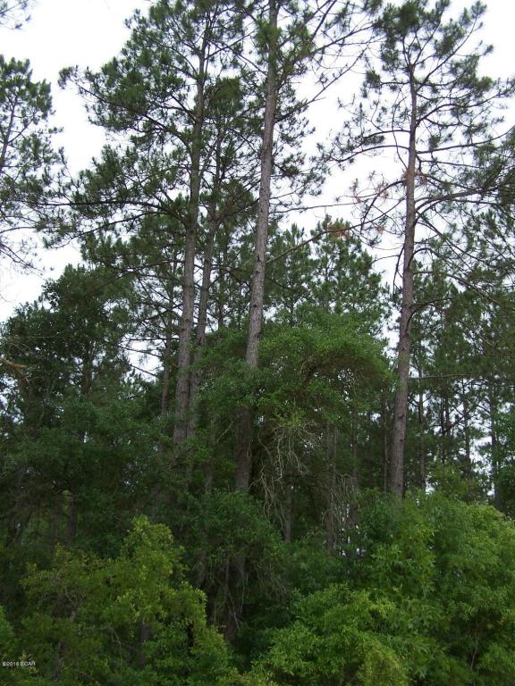 0 SPRINGS CEMETERY, Marianna, FL 32446