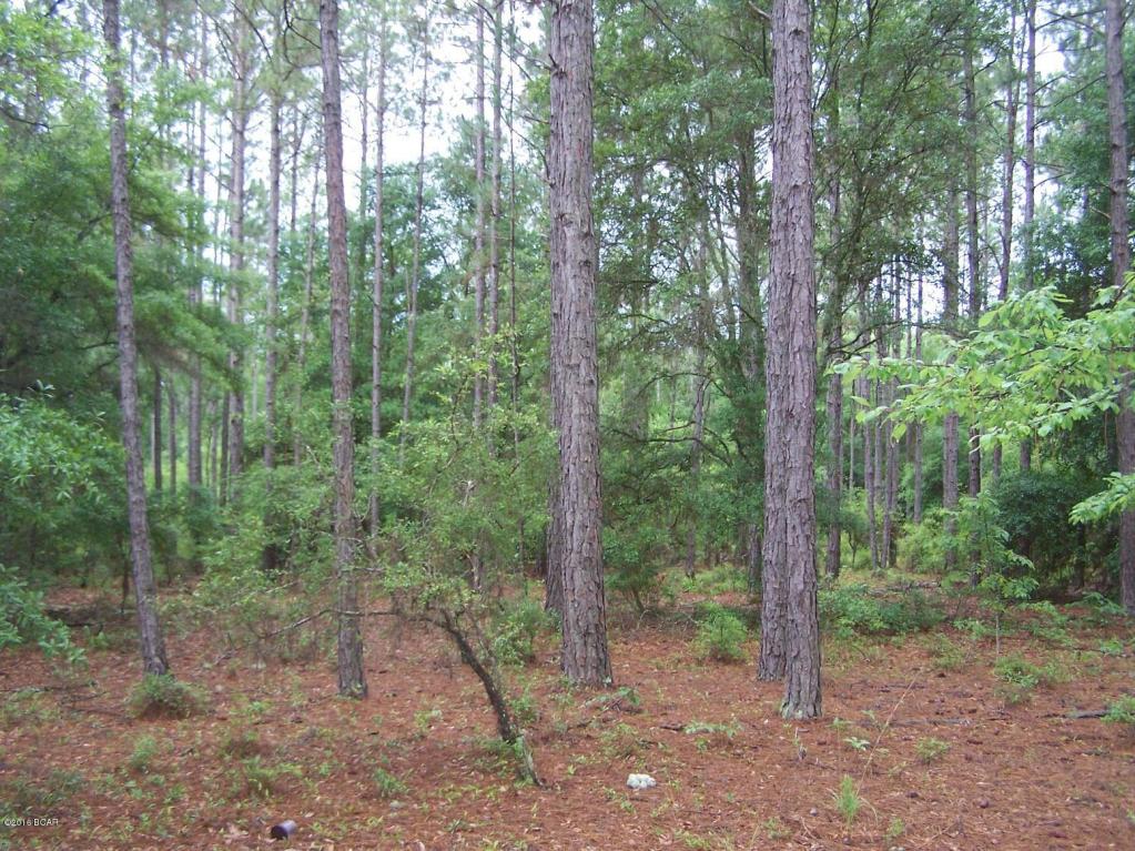 0 SPRINGS CEMETERY, Marianna, FL 32446