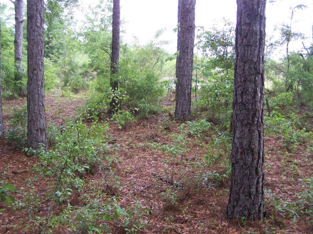 0 SPRINGS CEMETERY, Marianna, FL 32446