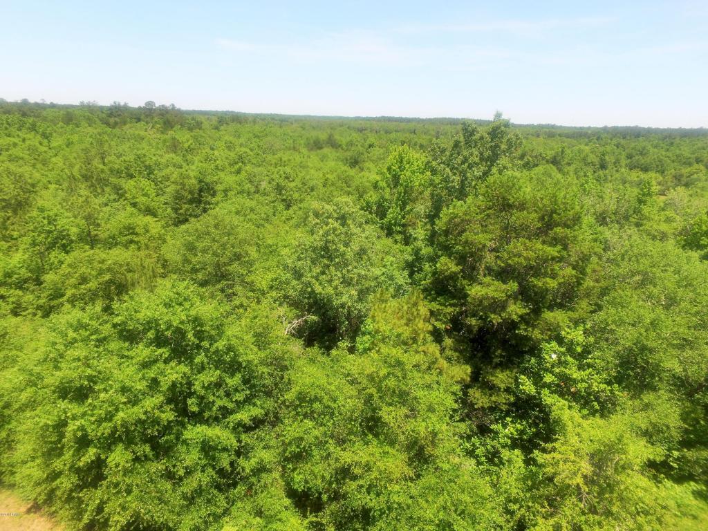 0000 EQUESTRAIN Lane, Marianna, FL 32446