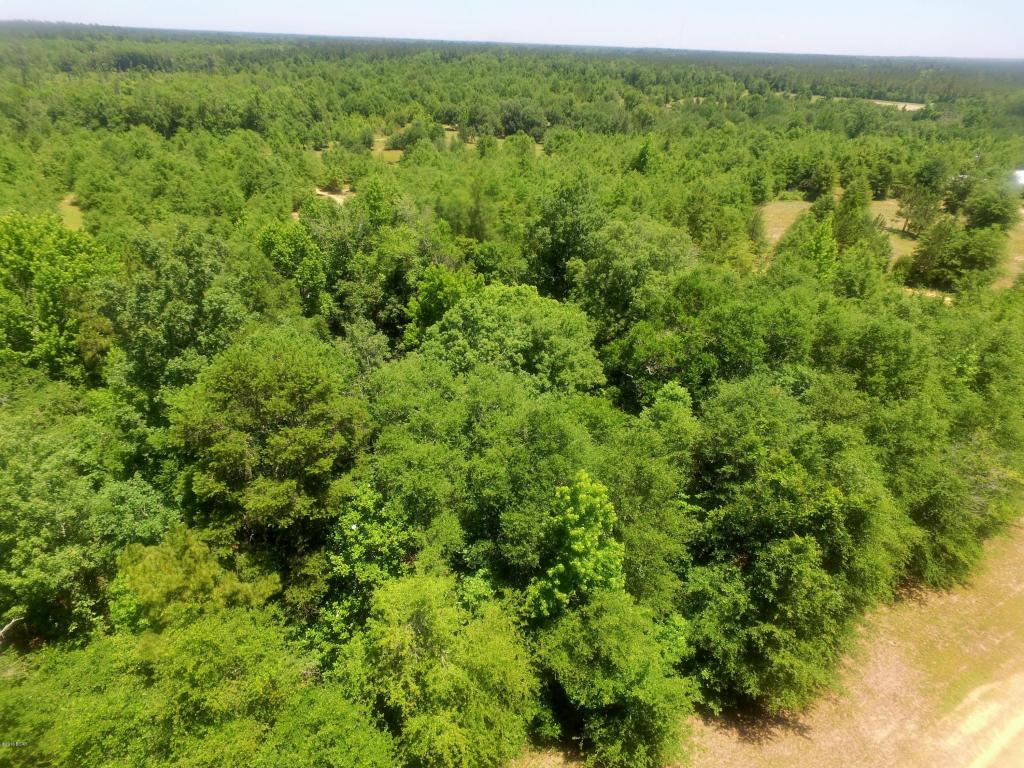 0000 EQUESTRAIN Lane, Marianna, FL 32446