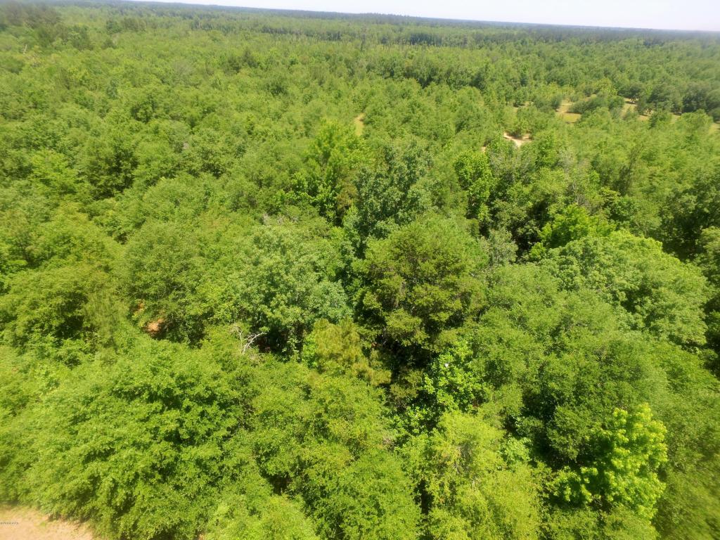 0000 EQUESTRAIN Lane, Marianna, FL 32446