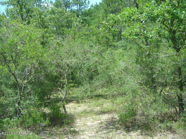 00 IVY, Marianna, FL 32448