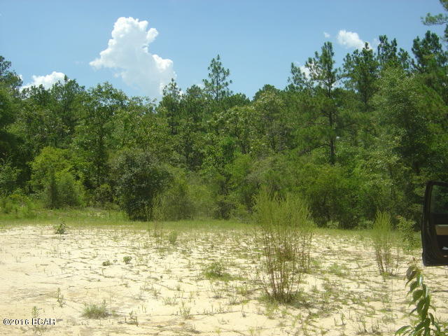 00 IVY, Marianna, FL 32448