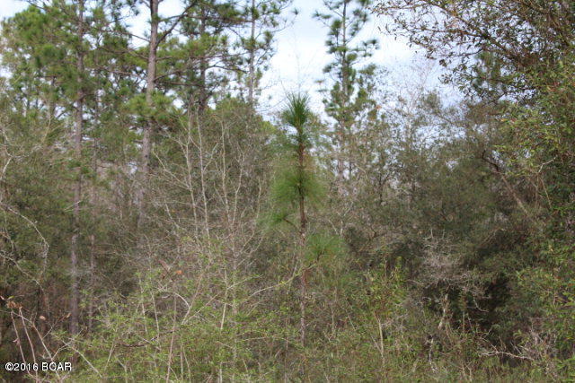 00 KNIGHT Road, Marianna, FL 32448