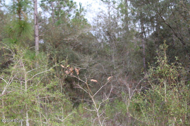 00 KNIGHT Road, Marianna, FL 32448