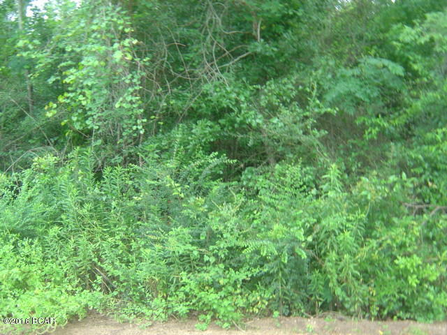 000 ALLIANCE, Marianna, FL 32448