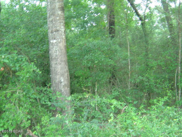 000 ALLIANCE, Marianna, FL 32448