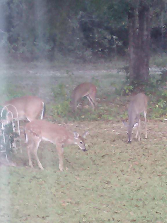000 HWY 73, Kinard, FL 32449