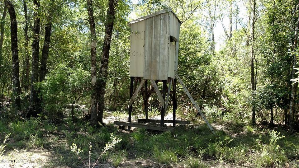 000 HWY 73, Kinard, FL 32449
