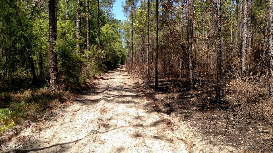 000 HWY 73, Kinard, FL 32449