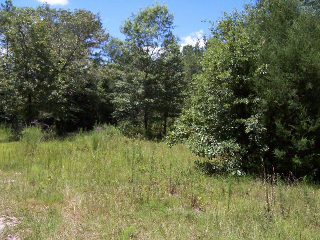 4.5 acres MCKINNON BRIDGE, Ponce De Leon, FL 32455