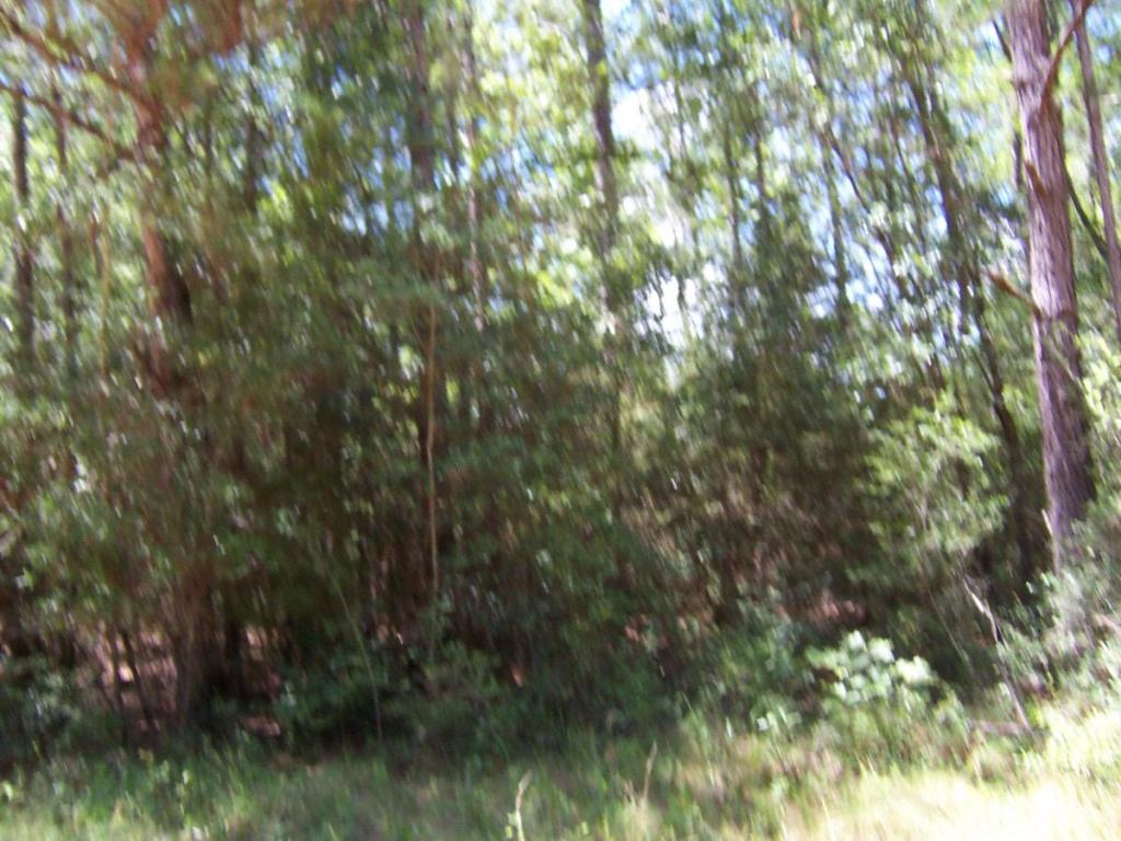 4.5 acres MCKINNON BRIDGE, Ponce De Leon, FL 32455
