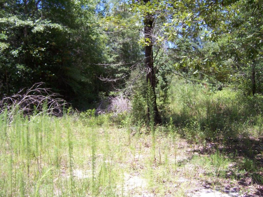 4.5 acres MCKINNON BRIDGE, Ponce De Leon, FL 32455
