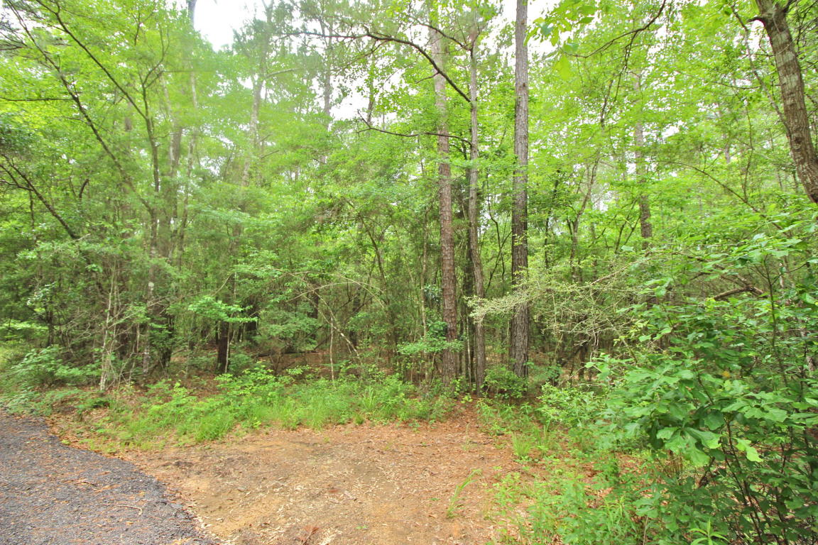 20.47 ac Crooked Creek Road, Ponce De Leon, FL 32455