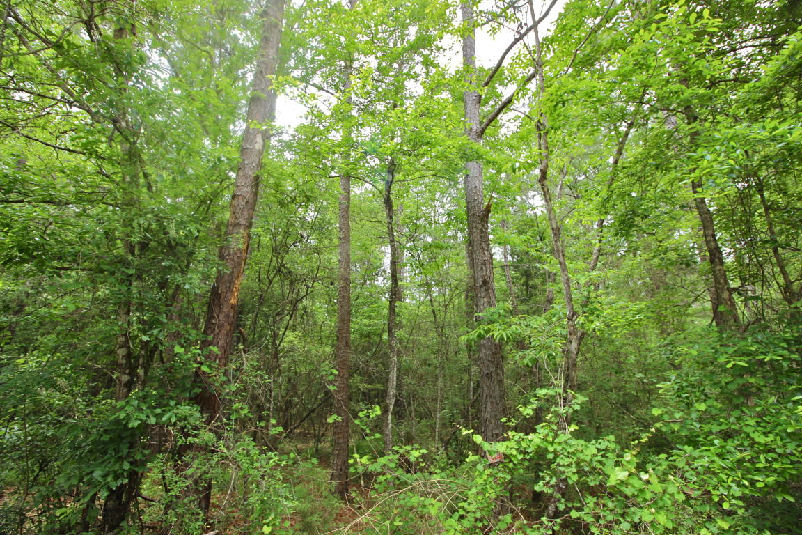 20.47 ac Crooked Creek Road, Ponce De Leon, FL 32455