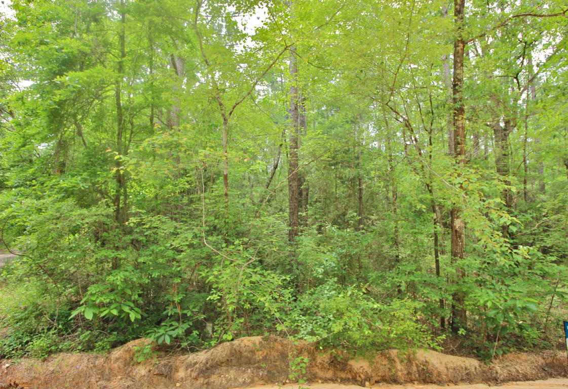 20.47 ac Crooked Creek Road, Ponce De Leon, FL 32455