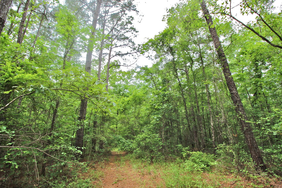 20.47 ac Crooked Creek Road, Ponce De Leon, FL 32455
