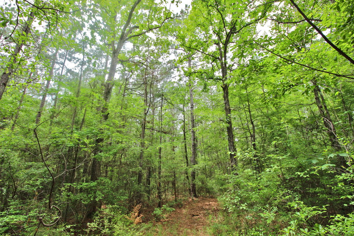 20.47 ac Crooked Creek Road, Ponce De Leon, FL 32455