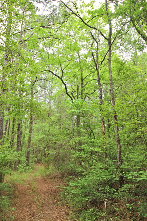 20.47 ac Crooked Creek Road, Ponce De Leon, FL 32455