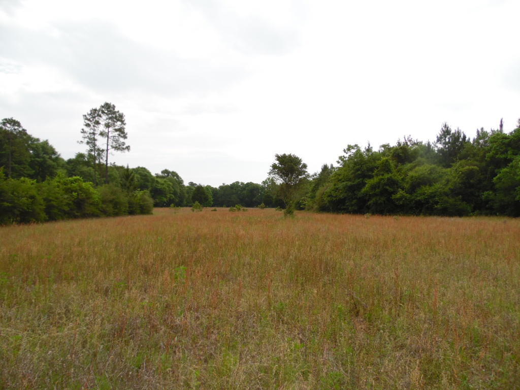 5966 County Highway 1883, Ponce De Leon, FL 32455