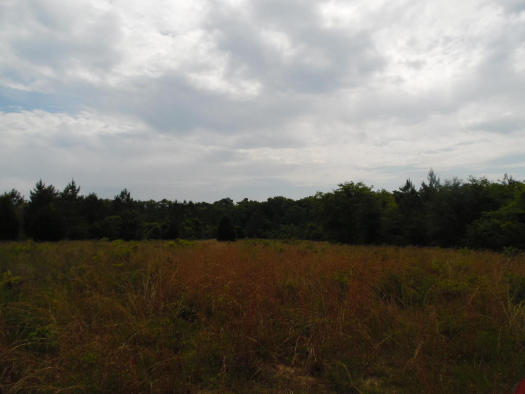 5966 County Highway 1883, Ponce De Leon, FL 32455