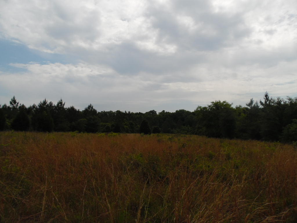 5966 County Highway 1883, Ponce De Leon, FL 32455