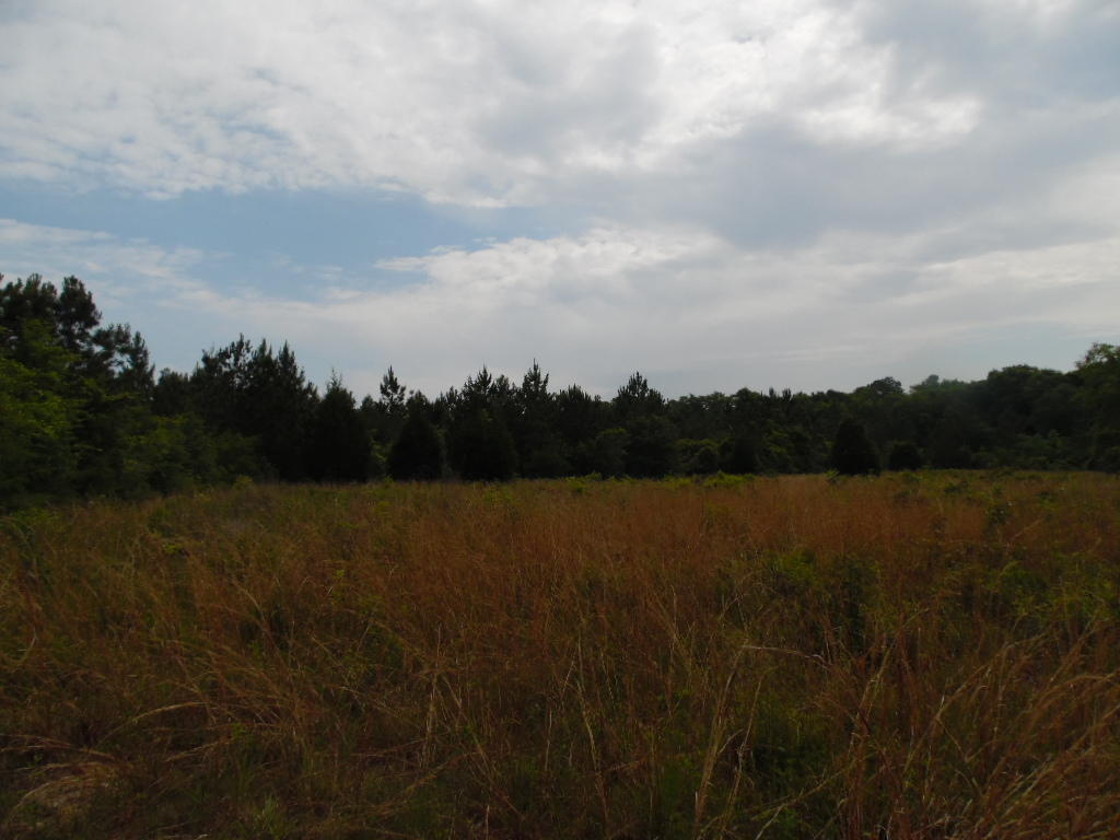 5966 County Highway 1883, Ponce De Leon, FL 32455