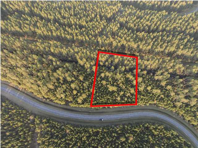 130 CREEK PINES CIR., Wewahitchka, FL 32456