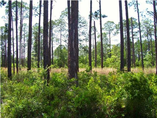 0 PALMETTO DR, Port ST. Joe, FL 32456