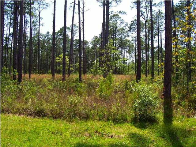 0 PALMETTO DR, Port ST. Joe, FL 32456