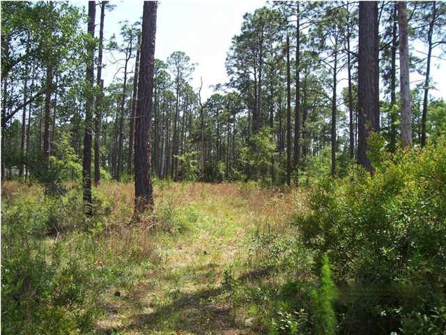 0 PALMETTO DR, Port ST. Joe, FL 32456