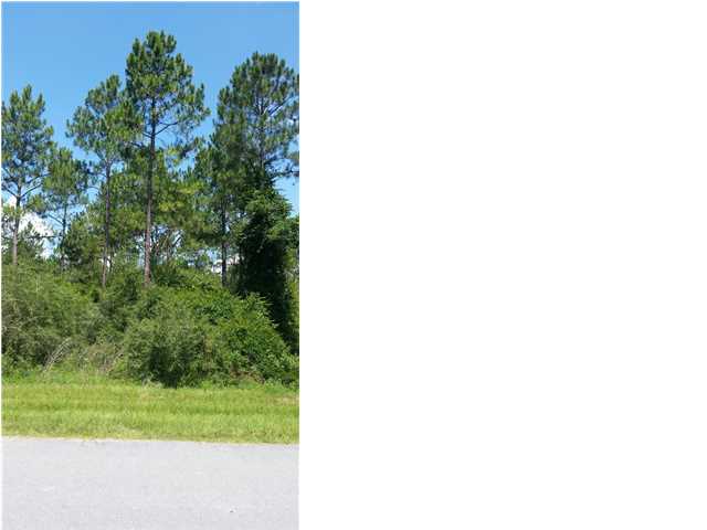 102 WIDE WATER CIR., Overstreet, FL 32456