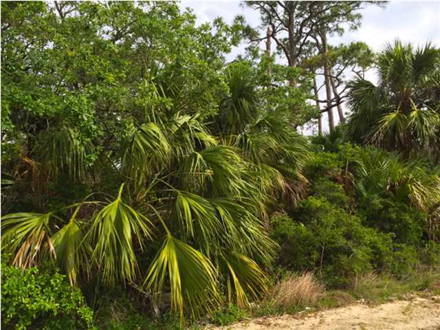 0 INDIAN PASS RD, Port ST. Joe, FL 32456