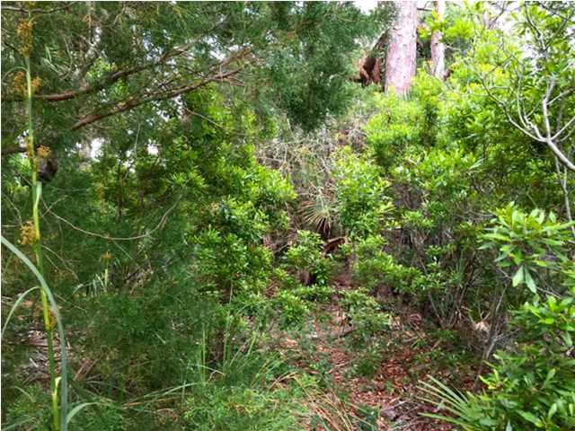 0 INDIAN PASS RD, Port ST. Joe, FL 32456
