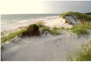 61 OVATION WAY, Cape San Blas, FL 32456
