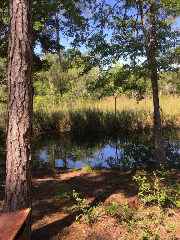 Lot 27 Taurus Drive, Santa Rosa Beach, FL 32459