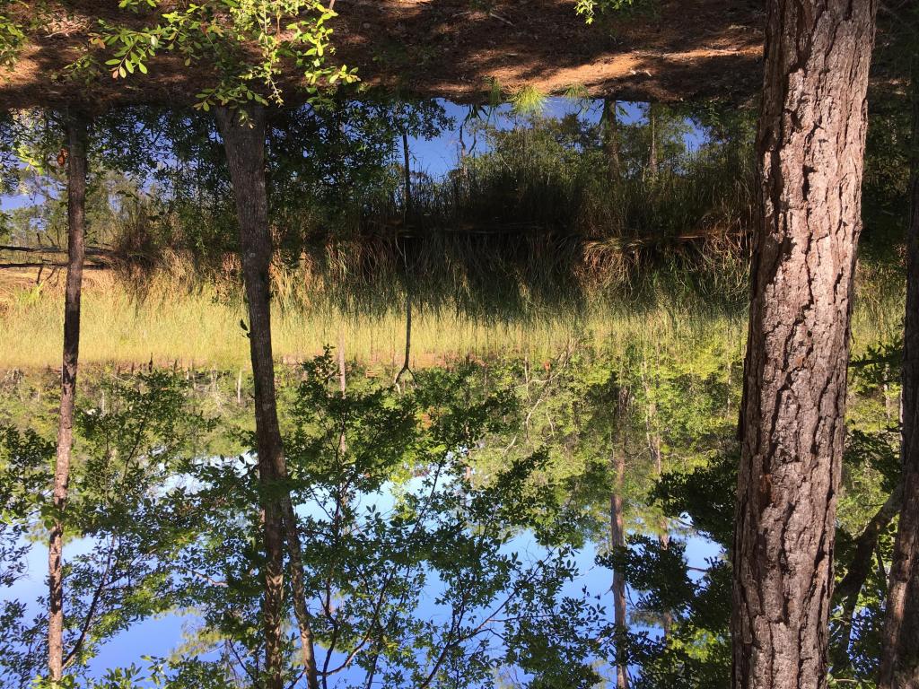 Lot 27 Taurus Drive, Santa Rosa Beach, FL 32459