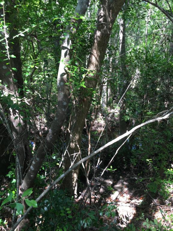 Lot 27 Taurus Drive, Santa Rosa Beach, FL 32459