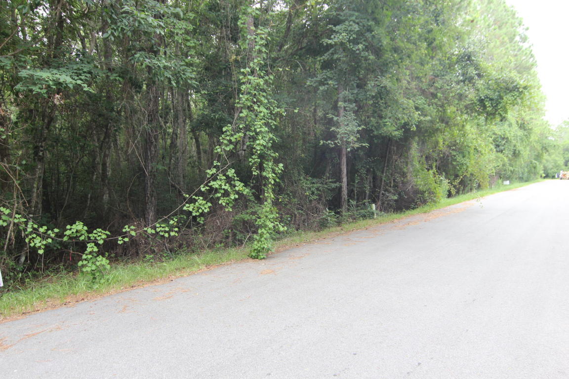 LOT B Wild Blueberry Way, Point Washington, FL 32459